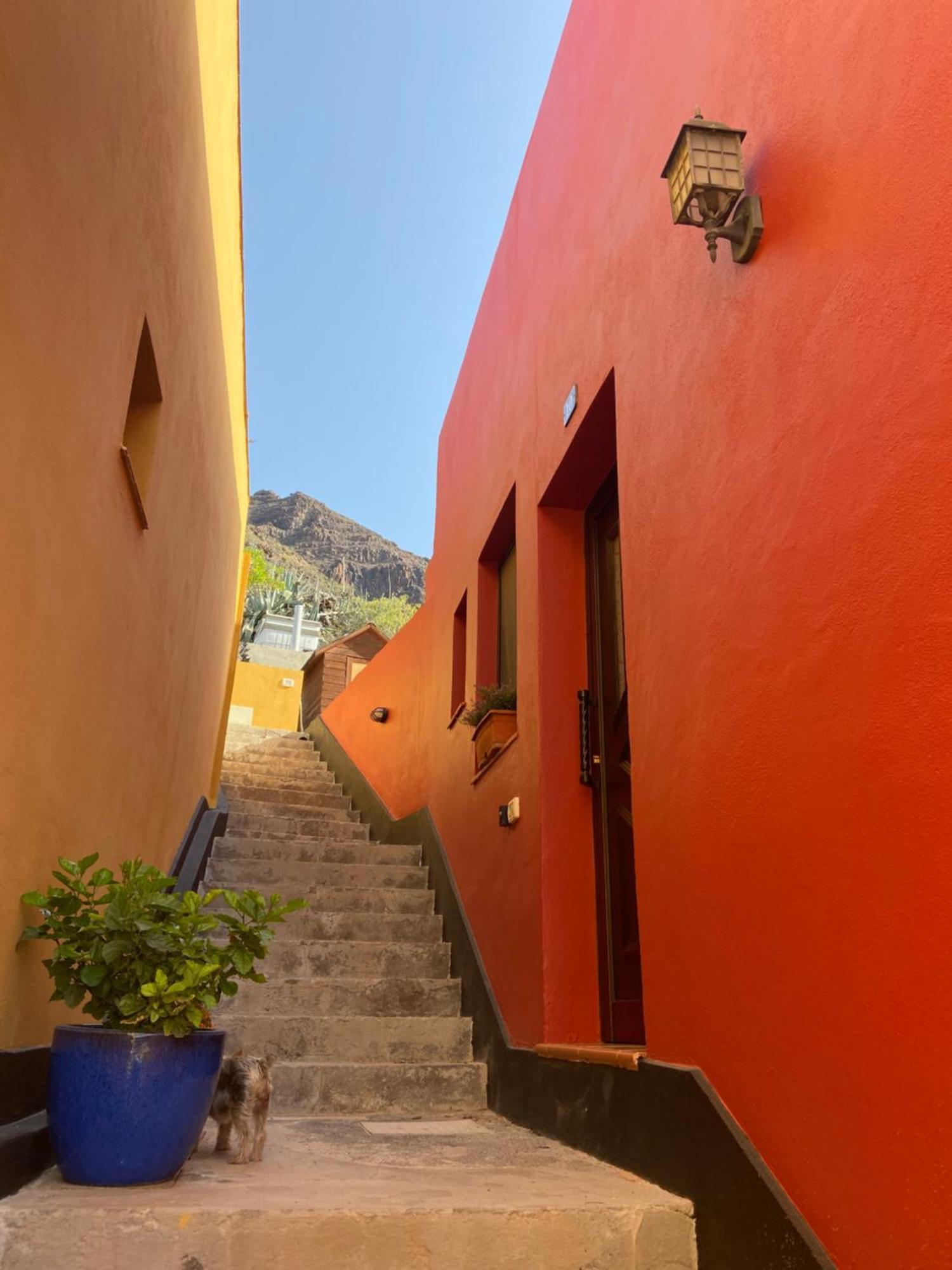 Вилла Casa Roja La Calera Валле Гранд Рей Экстерьер фото